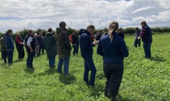 Group of farmers stood in a grassy field